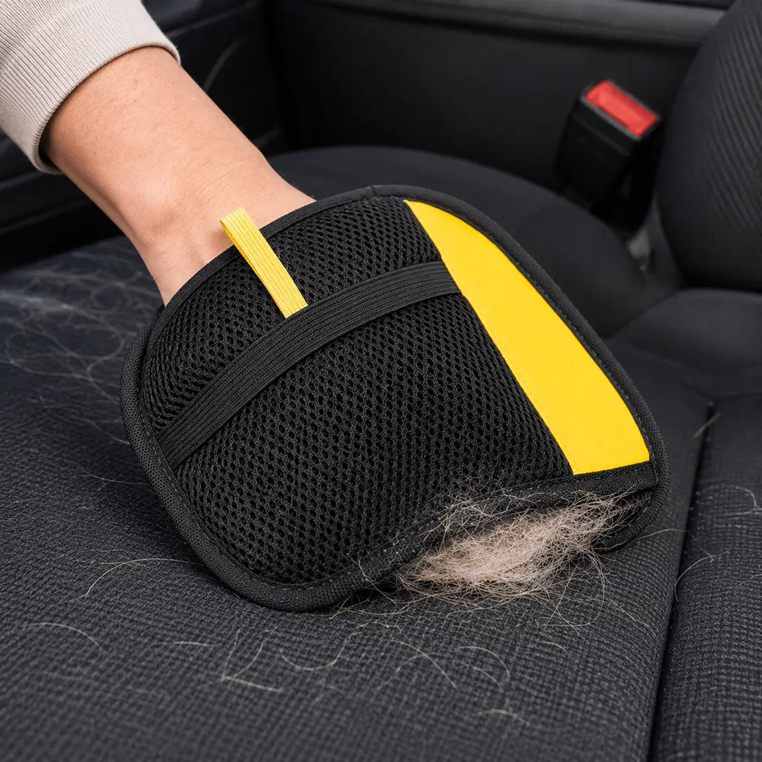 Top 5 Pet Hair Removal Tools for Car Seats - Interiors in 2026